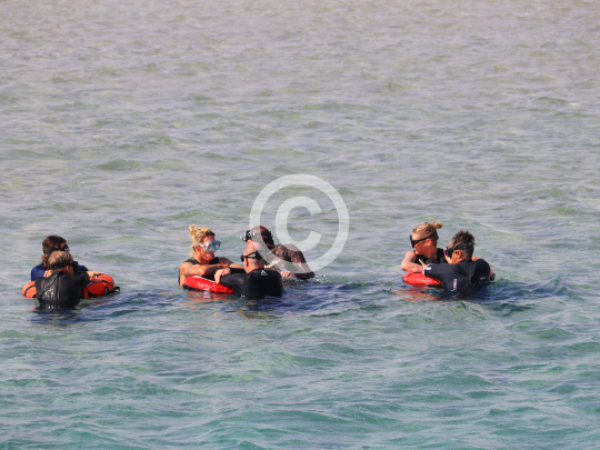 2025_11_22_Picture_008