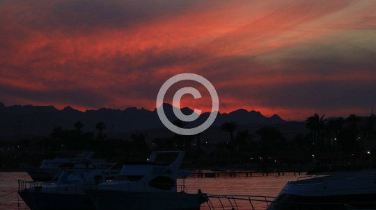 2025_11_28_Picture_001