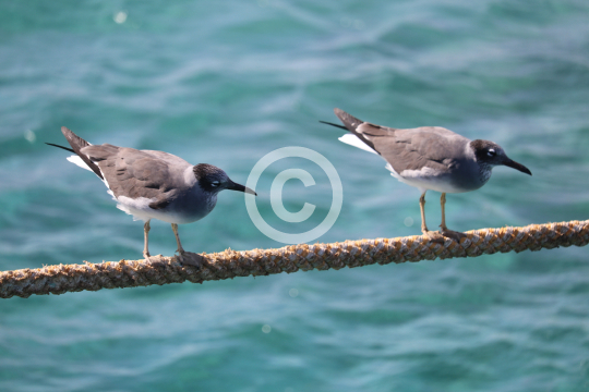 2026_01_02_Picture_018