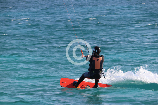 2026_01_19_Picture_009